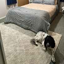 Kylie's room