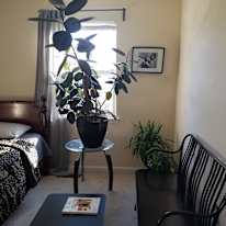 Jay's room