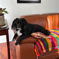 Veronica Keaney's room