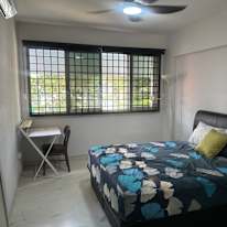 Alfi's room