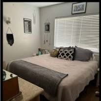 Lauren's room