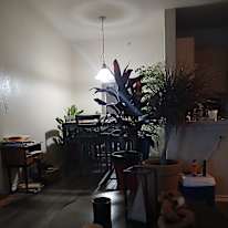 Rodney Lomax's room
