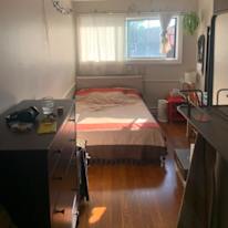 Ayden Mauro's room