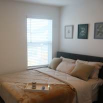Timi's room