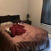 Jerry's room