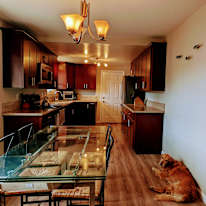 Kevin Nakada's room