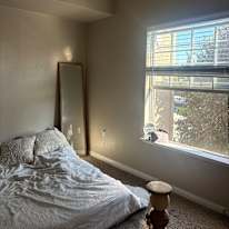 Tahlia's room