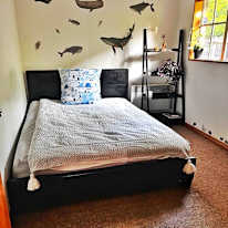 Tom's room