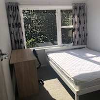 Kang's room