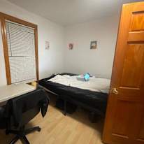 Moe's room