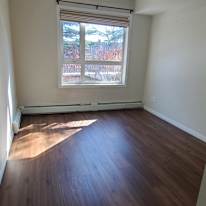 Francisco's room