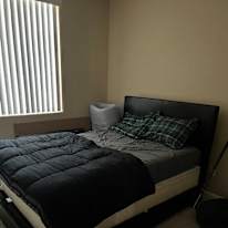 Avi's room