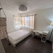 Medhi's room