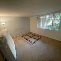 Alexander's room