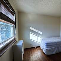 David's room