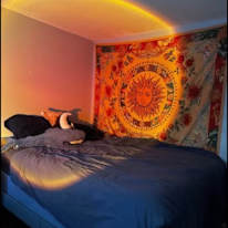 Amy's room
