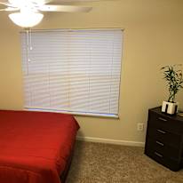 Calvin's room