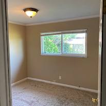 Ry Shirley's room