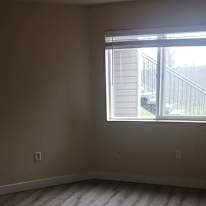 Rose Meadows's room