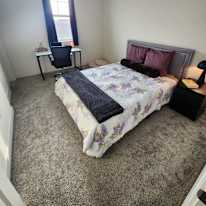 Alexander's room