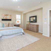 Adam Aly's room