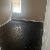 David's room