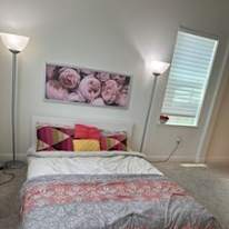 Sangeeta's room