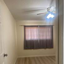 Hanh's room