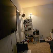 david's room