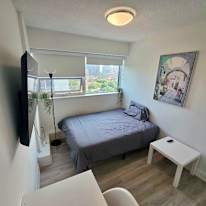 Alona's room