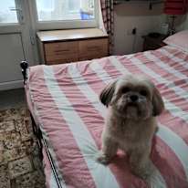 David's room