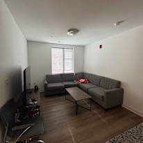 Mohid Basha's room