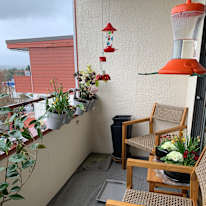 Marie Raymonde Joceline Dupuis's room