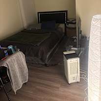 Malach's room