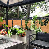 ofelya tevonian's room