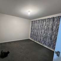Shannon's room