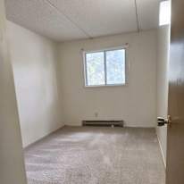 Animesh's room