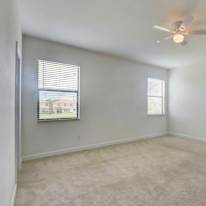 Dani's room