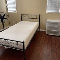 Zenaida's room
