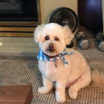 Barron McConnachie's room