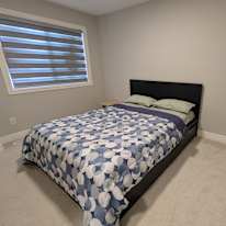 Yuvi Edmonton's room