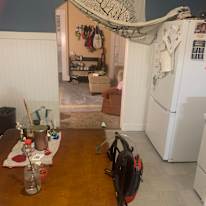 Cat's room