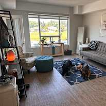 Andrea's room