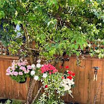 Basement Suite at Panorama Sullivan area in Surrey's room