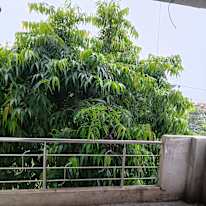 Sakshi's room