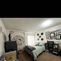 Lily's room