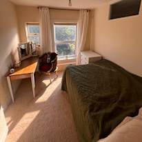 Shannon Wheeler's room