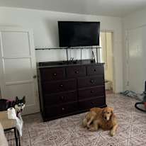 Tony's room