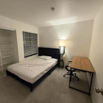 Lisa Z's room