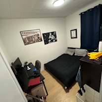 Darcy's room
